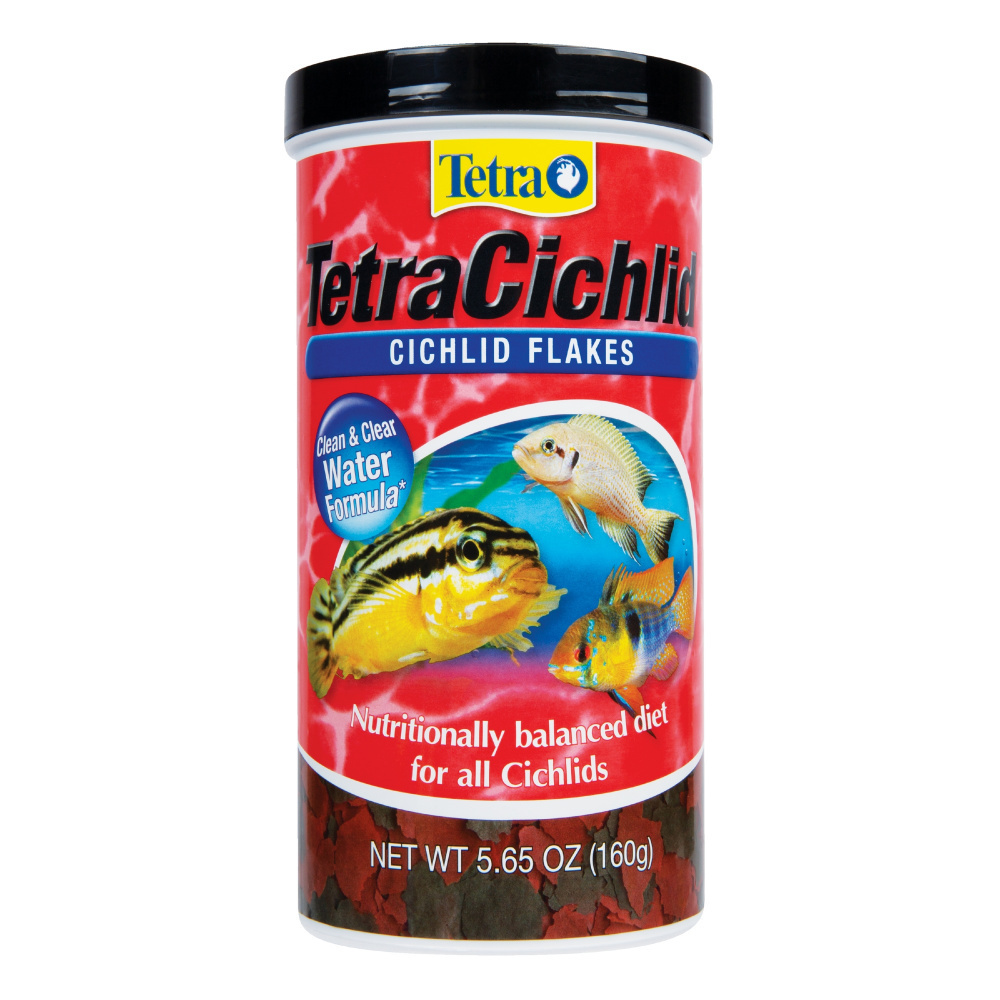 Best food for cichlid fish best sale