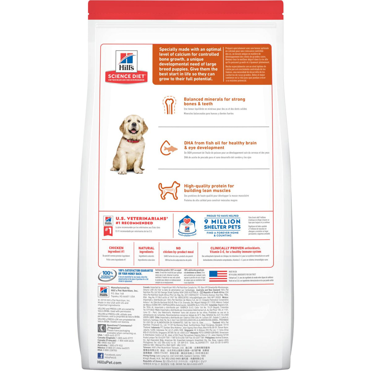 Hill's® Science Diet® Puppy Large Breed - Serving NY - NJ