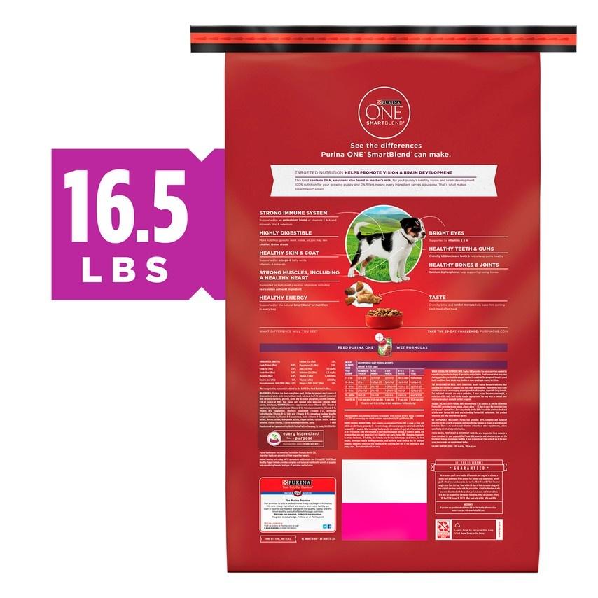 Purina ONE Healthy Puppy Chicken Recipe Dry Dog Food - Serving NY - NJ