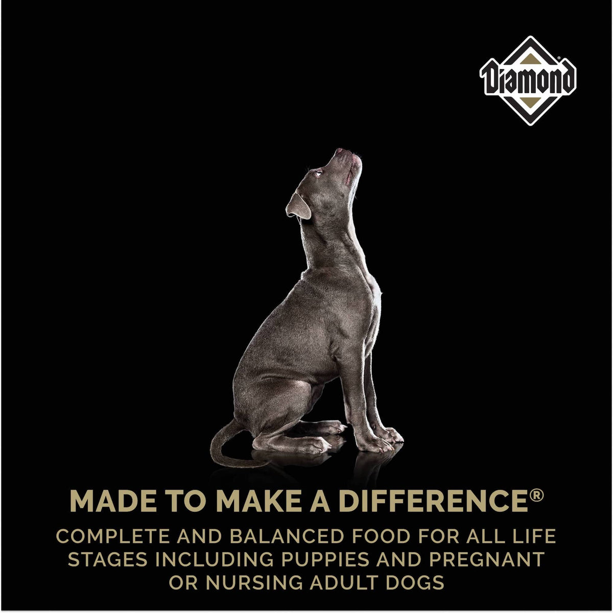 Diamond Puppy Dry Food - Serving NY - NJ