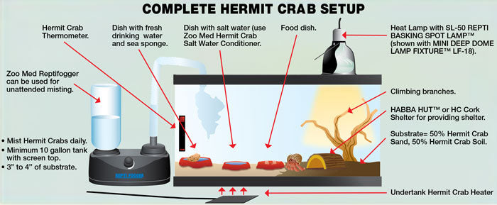 10 Gallon ReptiHabitat™ Hermit Crab Kit - Serving NY - NJ - Pet