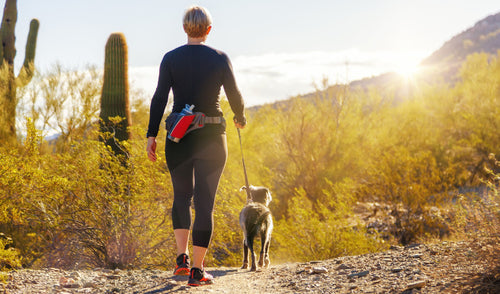 Training Tips for Outdoor Adventures with Your Pets in the Summer Months