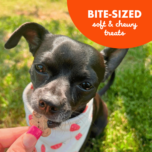 Buddy Biscuits Softies Soft & Chewy Grain Free Peanut Butter Dog Treats