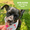 Buddy Biscuits Softies Soft and Chewy Roasted Chicken Dog Treats