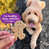 Buddy Biscuits Crunchy Assorted Flavors Dog Treats