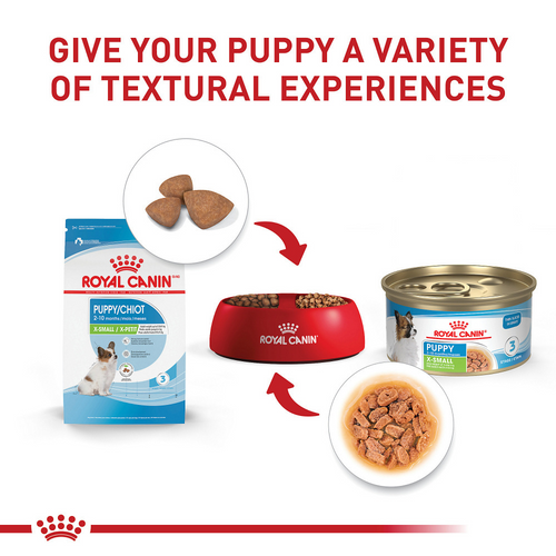 Royal Canin Size Health Nutrition X-Small Puppy Thin Slices in Gravy Wet Dog Food