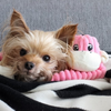 ZippyPaws Pink Spencer Crinkle Monkey Small Plush Dog Toy