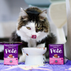 Stella & Chewy's Purrfect Pate Chicken & Salmon Medley Recipe Wet Cat Food