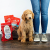 Stella & Chewy's Raw Coated Kibble Cage Free Chicken Recipe Puppy Dry Dog Food