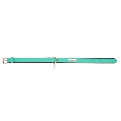 ZippyPaws Vivid Collection Teal Dog Collar