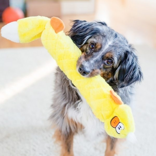 ZippyPaws Jigglerz Duck Plush Dog Toy