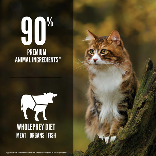 ORIJEN Grain Free Regional Red Dry Cat Food