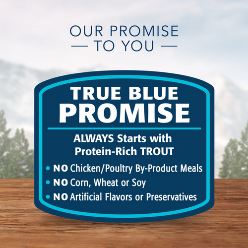 Blue Buffalo Wilderness High-Protein Grain-Free Duck & Chicken Grill Adult Canned Dog Food