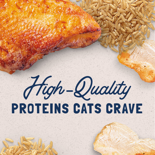 Natural Balance Original Ultra Chicken & Liver Recipe Canned Wet Cat Food