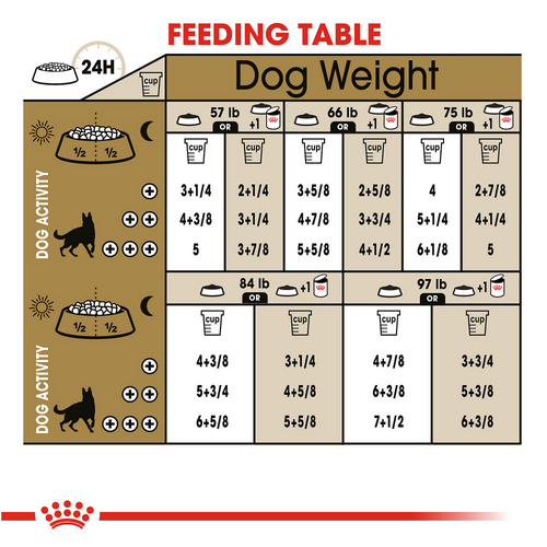 Royal Canin Breed Health Nutrition German Shepherd Adult Dry Dog Food