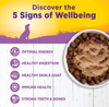 Wellness Complete Health Natural Senior Health Chicken and Sweet Potato Recipe Wet Canned Dog Food