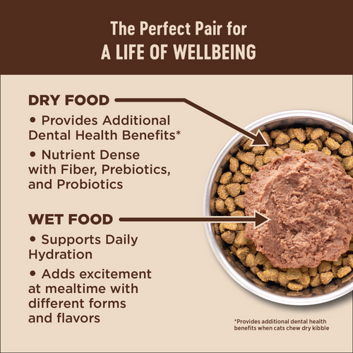 Wellness CORE Natural Grain Free Original Formula Recipe Dry Cat Food