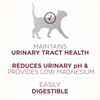 Purina ONE Urinary Tract Health Formula Dry Cat Food