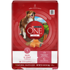 Purina ONE +Plus Skin & Coat Formula Dry Dog Food