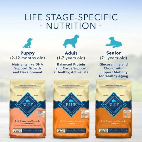 Blue Buffalo Life Protection Formula Large Breed Senior Chicken & Brown Rice Recipe Dry Dog Food