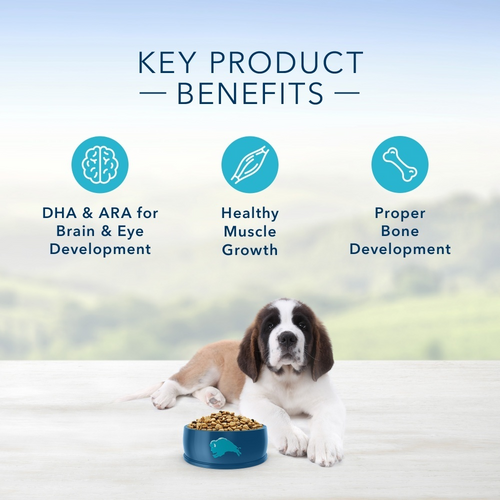 Blue Buffalo Life Protection Formula Large Breed Puppy Chicken & Brown Rice Recipe Dry Dog Food