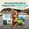 Earthborn Holistic Coastal Catch Herring Meal & Vegetables Grain Free Dry Dog Food