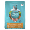 Purina ONE Tender Selects Blend Real Chicken Dry Cat Food