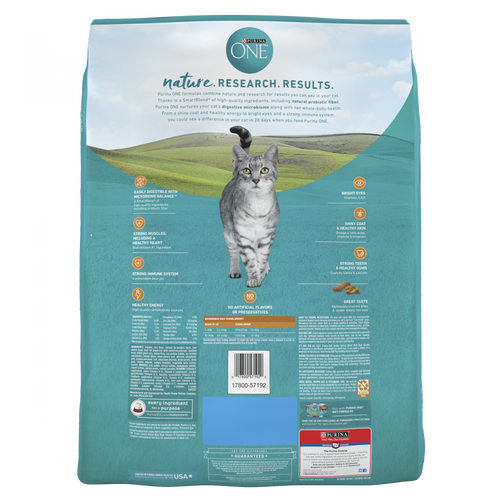 Purina ONE Tender Selects Blend Real Chicken Dry Cat Food