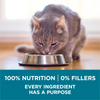 Purina ONE Tender Selects Blend Real Chicken Dry Cat Food