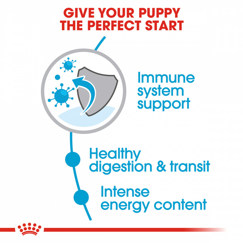 Royal Canin X-Small Puppy Dry Dog Food