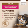 Wellness CORE Grain Free Natural Turkey, Turkey Meal, and Duck Dry Cat Food