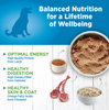 Wellness Simple Natural Limited Ingredient Diet Lamb and Oatmeal Recipe Wet Canned Dog Food