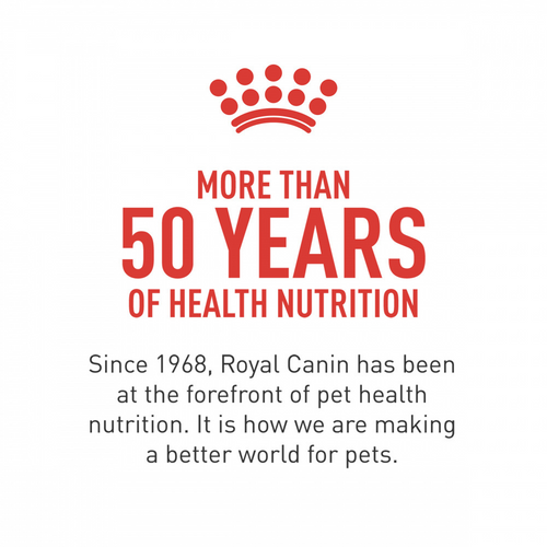 Royal Canin Breed Health Nutrition Golden Retriever Puppy Dry Dog Food