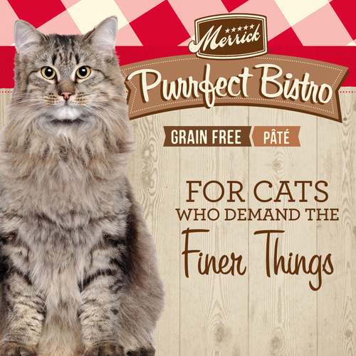 Merrick Purrfect Bistro Grain Free Premium Soft Canned Pate Adult Wet Cat Food, High Protein Beef Recipe