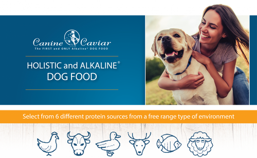 Canine Caviar Leaping Spirit Holistic Grain Free Entree Dry Dog Food