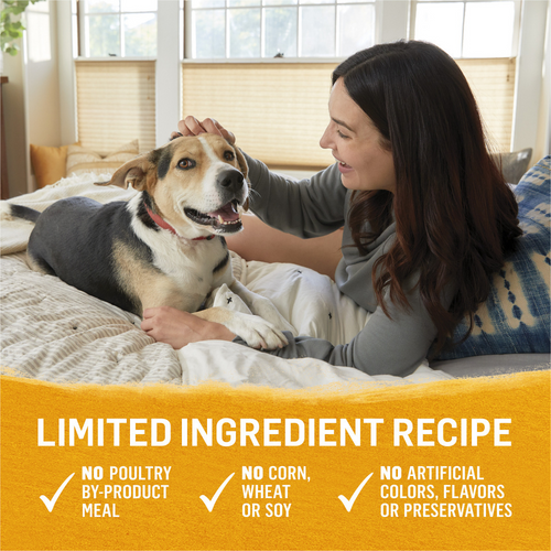 Purina Beyond Ground Entree Grain Free Chicken, Carrot, and Pea Recipe Canned Dog Food