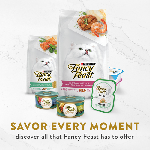 Fancy Feast Classic Broths with Wild Salmon & Vegetables Supplemental Cat Food Pouches