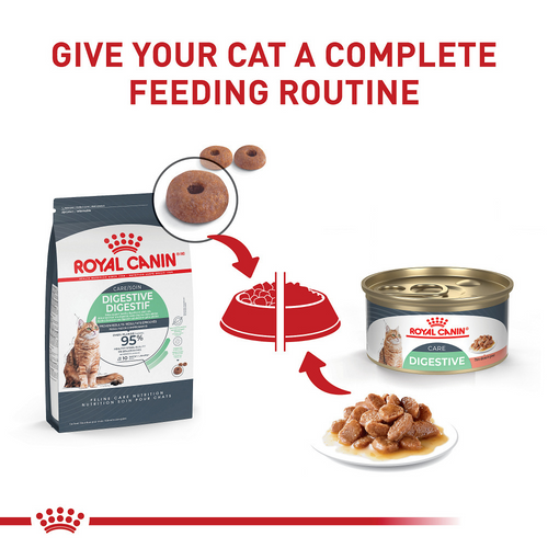 Royal Canin Feline Nutrition Digestive Sensitive Thin Slices in Gravy Canned Cat Food