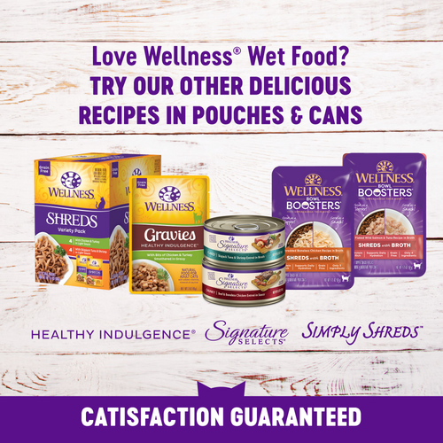 Wellness Healthy Indulgence Natural Grain Free Morsels with Chicken and Turkey in Savory Sauce Cat Food Pouch