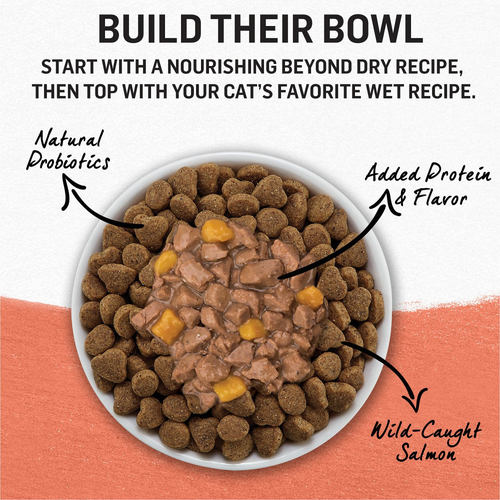 Purina Beyond Grain-Free Wild Alaskan Salmon & Sweet Potato Recipe in Gravy Canned Cat Food