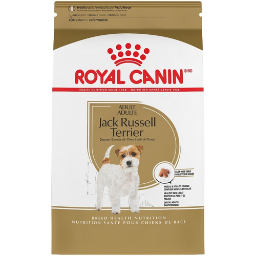 Royal Canin Breed Health Nutrition Adult Jack Russell Terrier Dry Dog Food