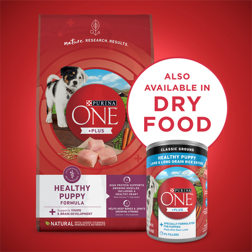 Purina ONE SmartBlend Classic Healthy Puppy Ground Lamb & Long Grain Rice Canned Dog Food