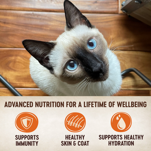 Wellness CORE Tiny Tasters Chicken & Beef Pate Wet Cat Food