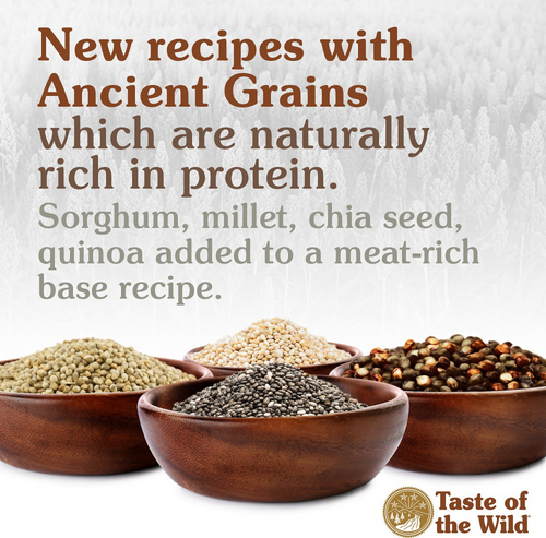 Taste of the Wild Ancient Prairie with Ancient Grains Dry Dog Food