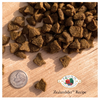 Fromm Four Star Zealambder Recipe Dry Dog Food