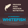 Wellness CORE High Protein Wholesome Grains Ocean Recipe Dry Dog Food