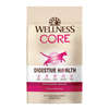 Wellness Core Digestive Health Salmon Recipe Dry Cat Food