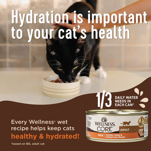 Wellness Core Digestive Health Whitefish Pate Recipe Canned Cat Food