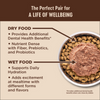 Wellness Core Digestive Health Whitefish Pate Recipe Canned Cat Food