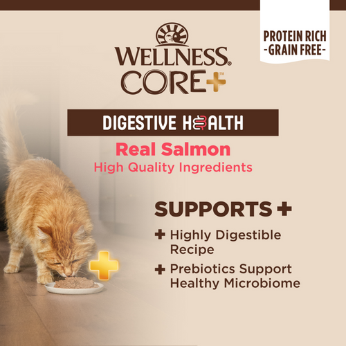 Wellness Core Digestive Health Salmon Pate Recipe Canned Cat Food